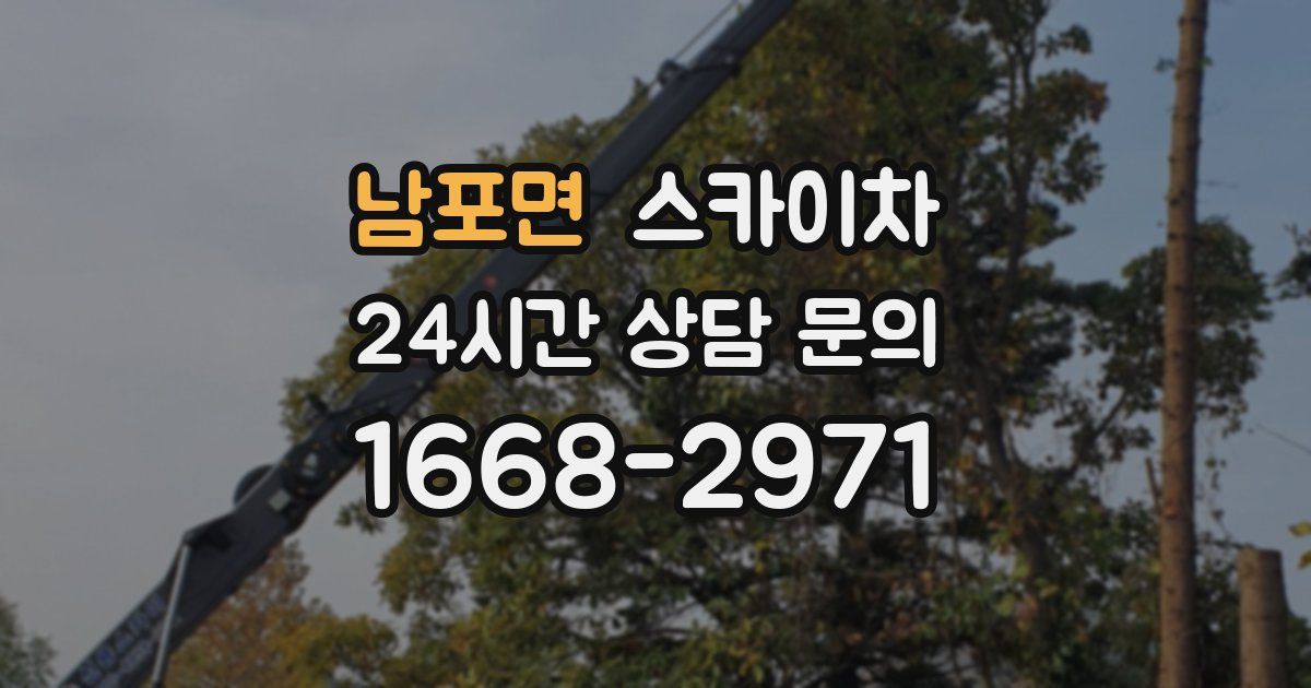 남포면 스카이차