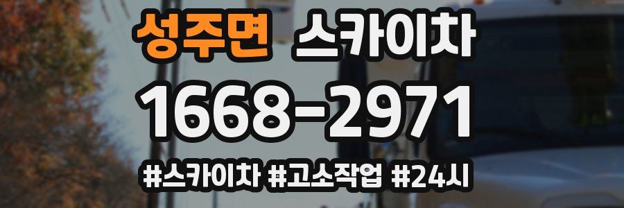 성주면 스카이차