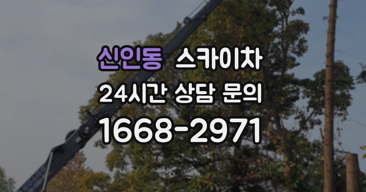 신인동 스카이차