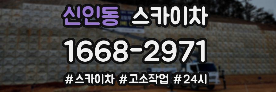 신인동 스카이차