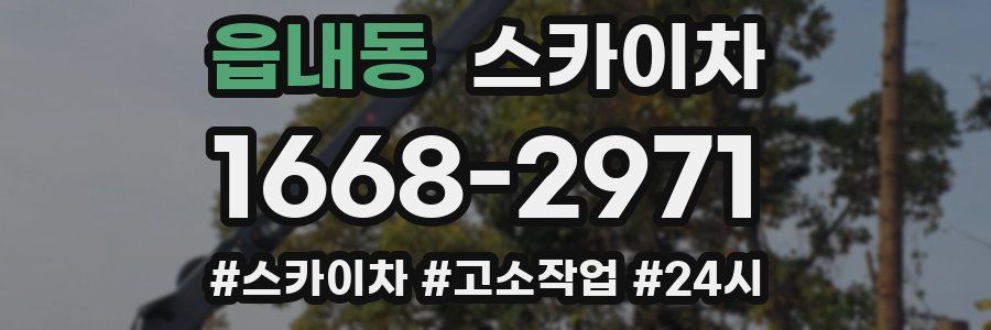 읍내동 스카이차