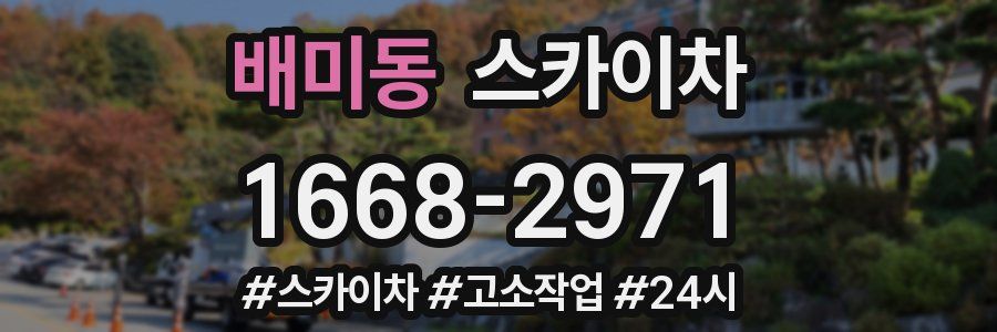 배미동 스카이차