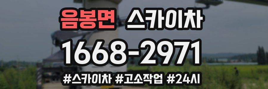 음봉면 스카이차