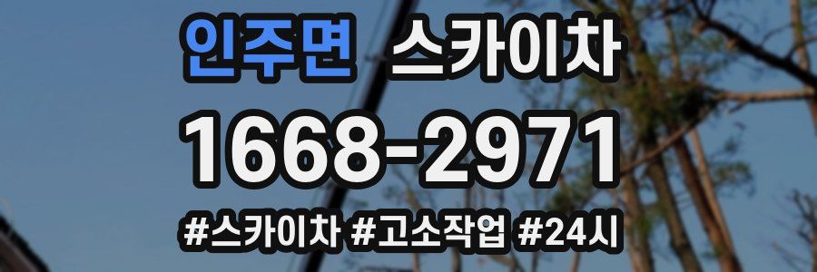 인주면 스카이차
