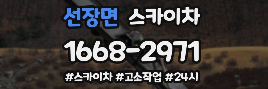 선장면 스카이차