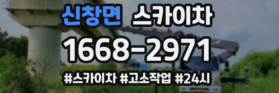 신창면 스카이차