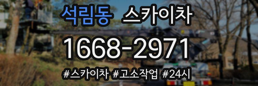 석림동 스카이차