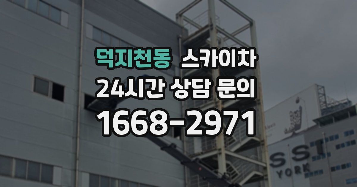 덕지천동 스카이차