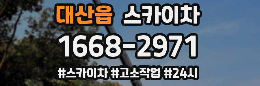 대산읍 스카이차