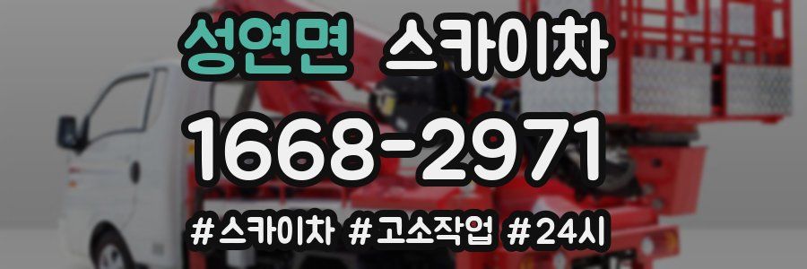 성연면 스카이차