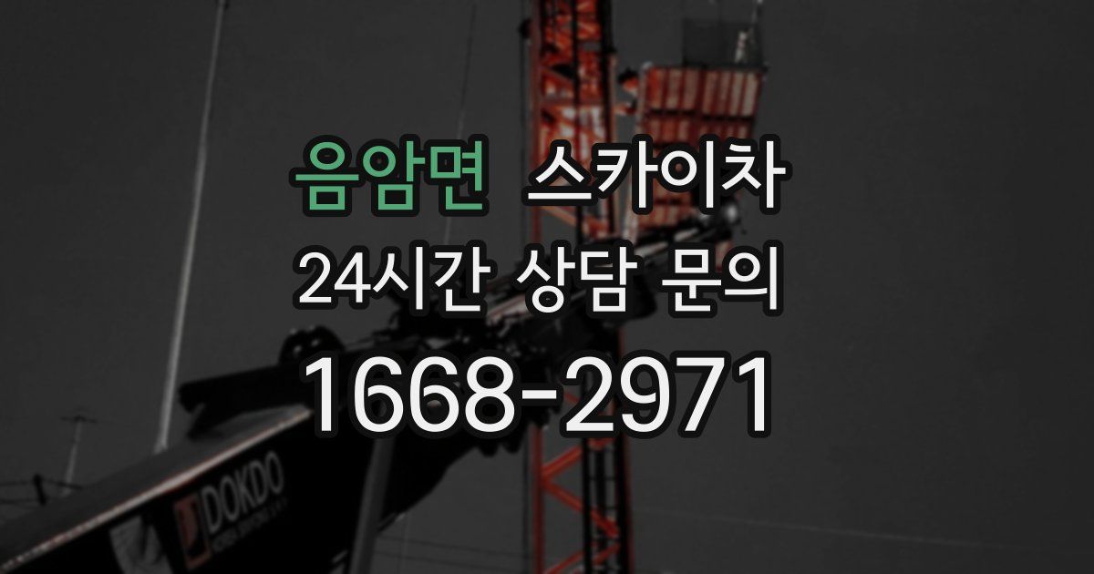 음암면 스카이차