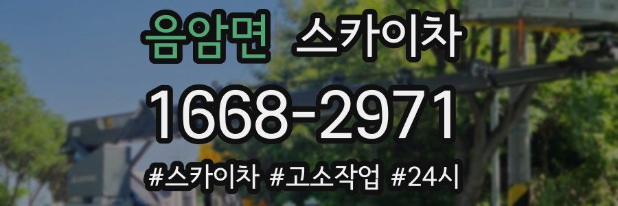 음암면 스카이차