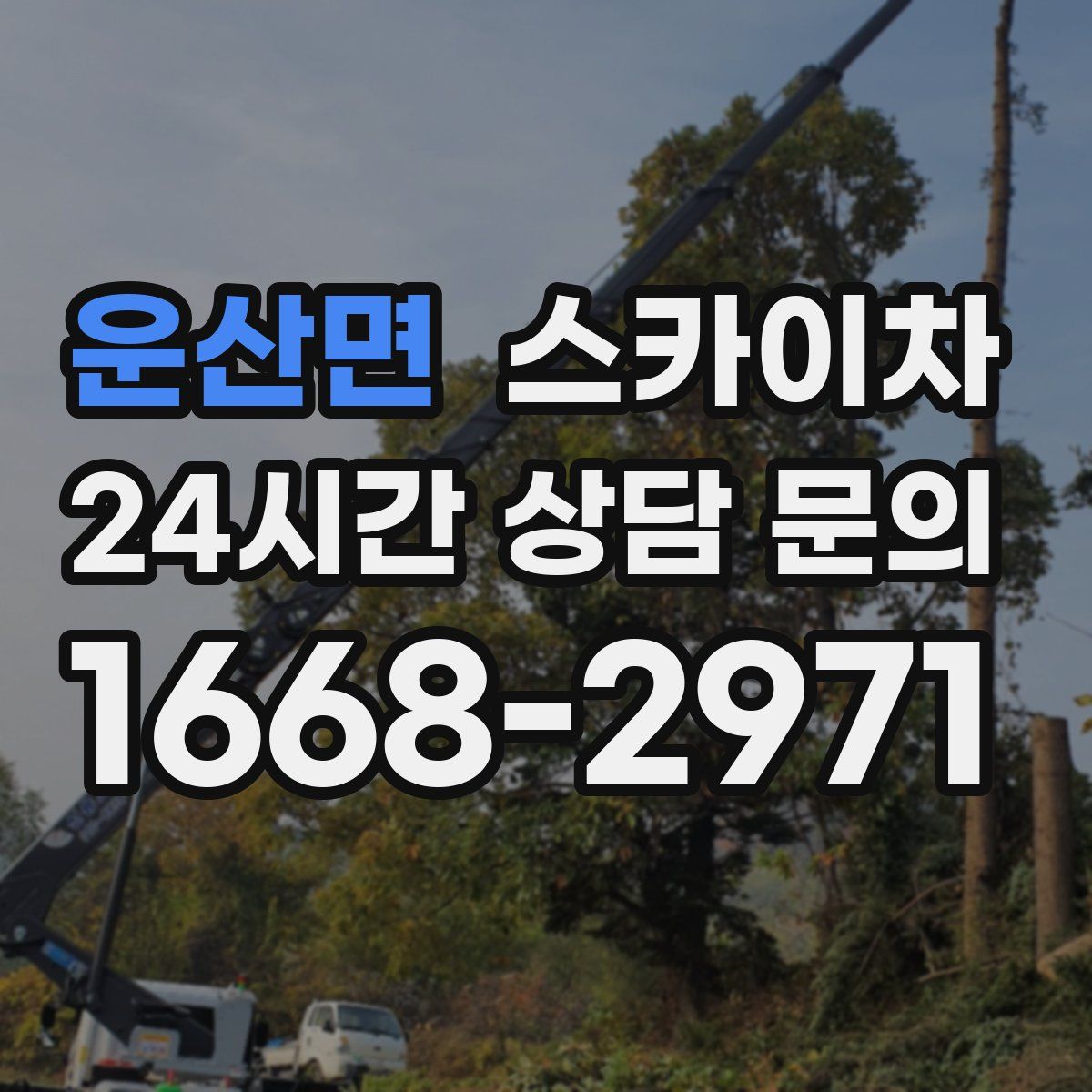 운산면 스카이차