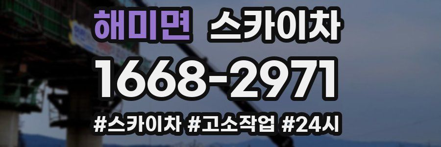 해미면 스카이차