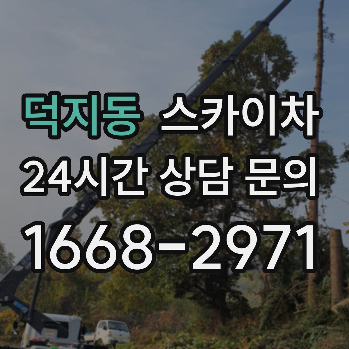 덕지동 스카이차 현장 사진만으로도 작업 가능 여부 확인