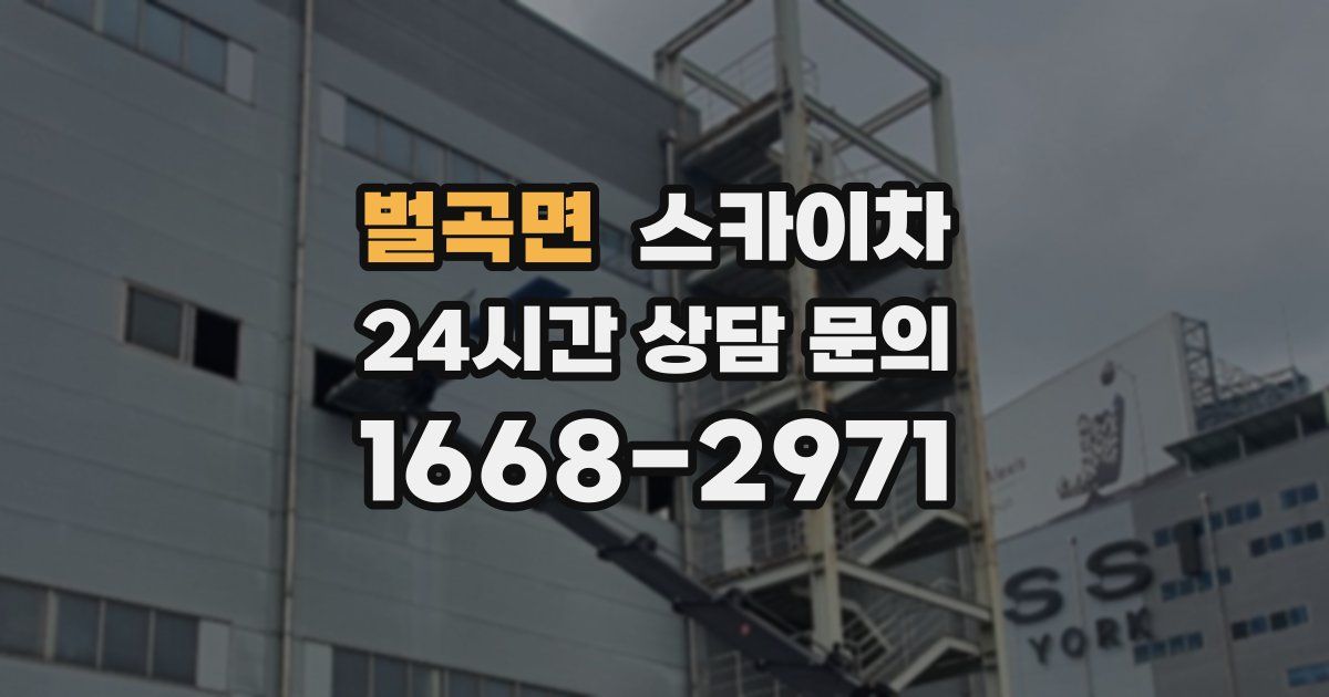 벌곡면 스카이차