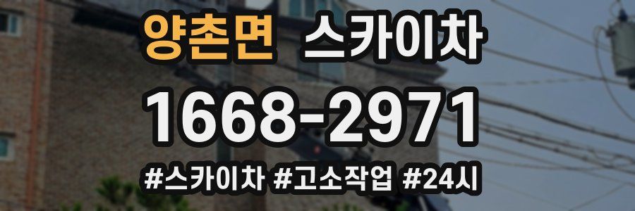 양촌면 스카이차