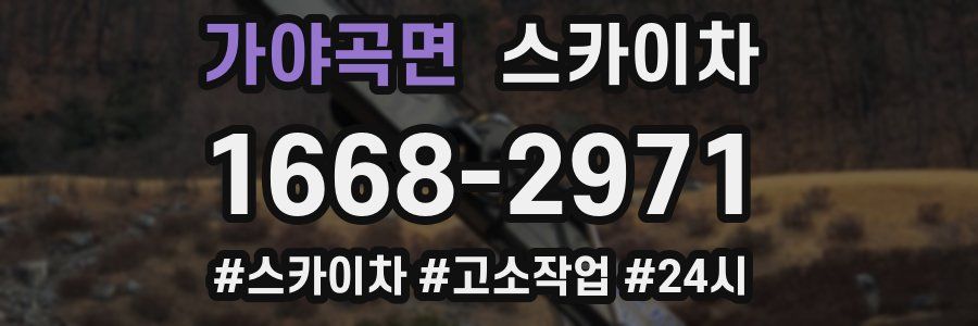 가야곡면 스카이차