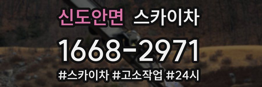 신도안면 스카이차