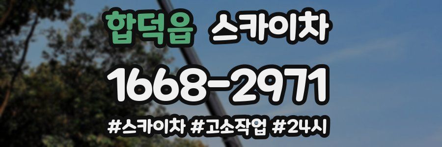 합덕읍 스카이차