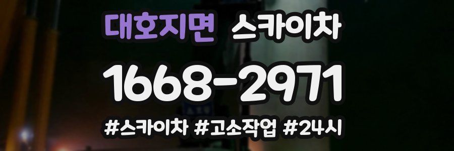 대호지면 스카이차