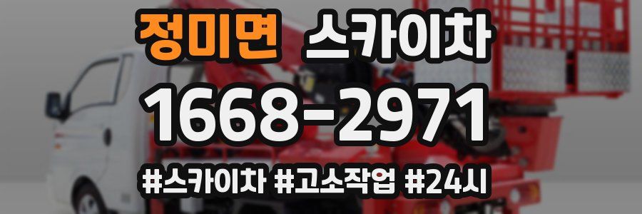 정미면 스카이차