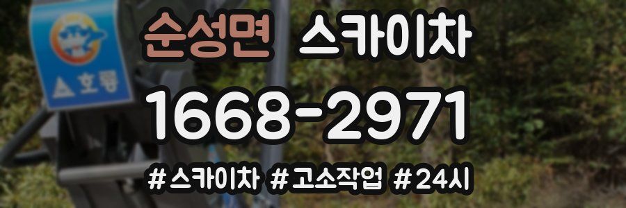 순성면 스카이차
