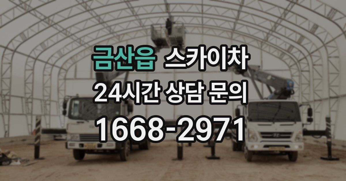 금산읍 스카이차