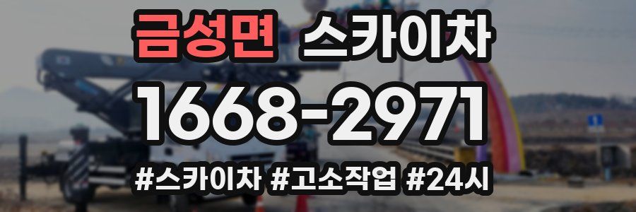 금성면 스카이차