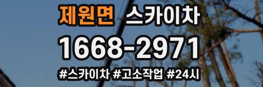 제원면 스카이차