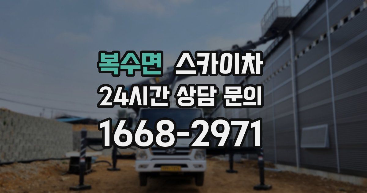 복수면 스카이차