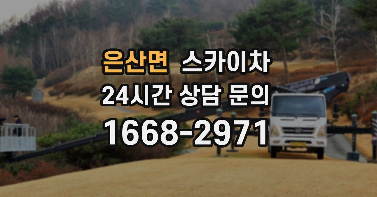 은산면 스카이차