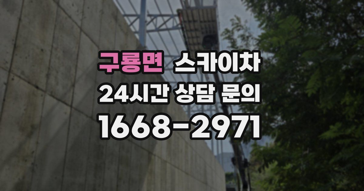 구룡면 스카이차