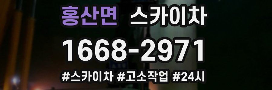 홍산면 스카이차