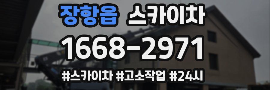 장항읍 스카이차