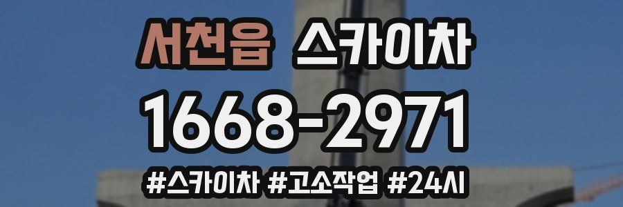 서천읍 스카이차