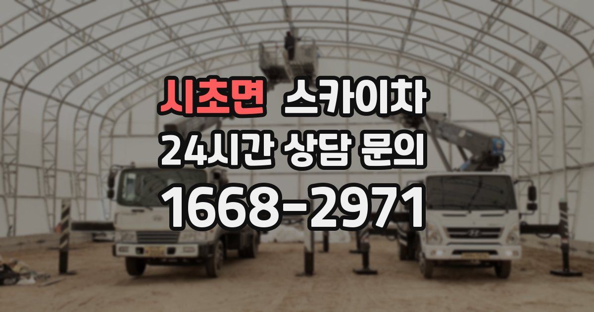 시초면 스카이차