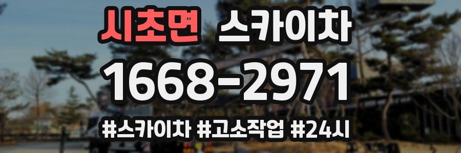 시초면 스카이차