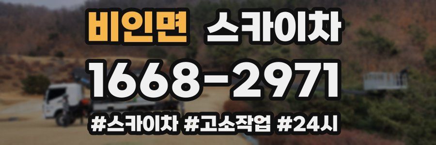 비인면 스카이차