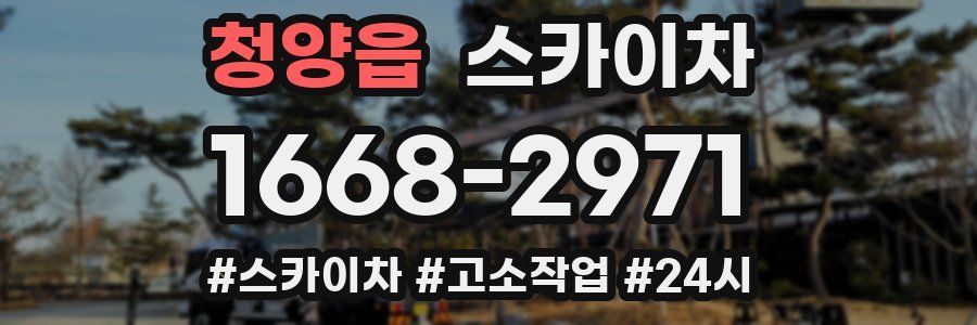 청양읍 스카이차