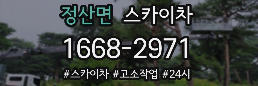 정산면 스카이차