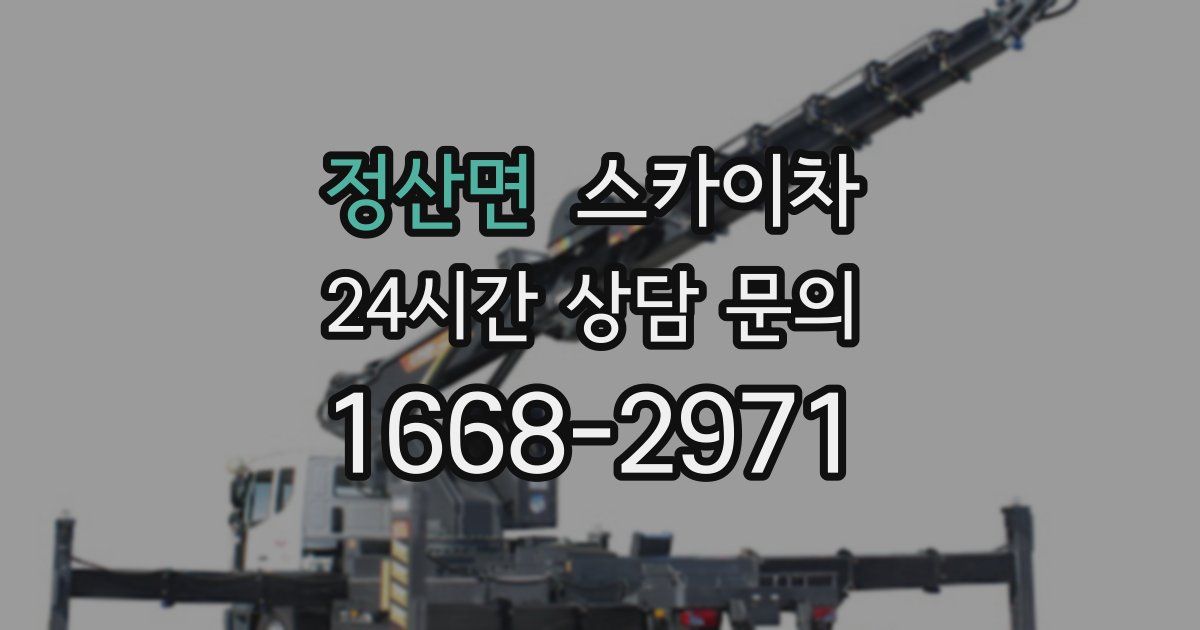 정산면 스카이차