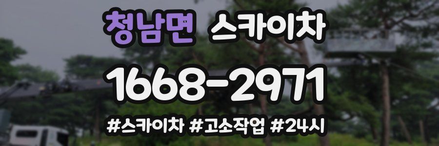 청남면 스카이차