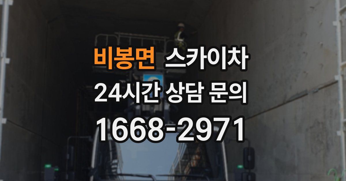 비봉면 스카이차