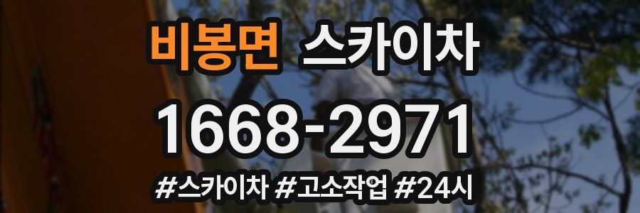 비봉면 스카이차