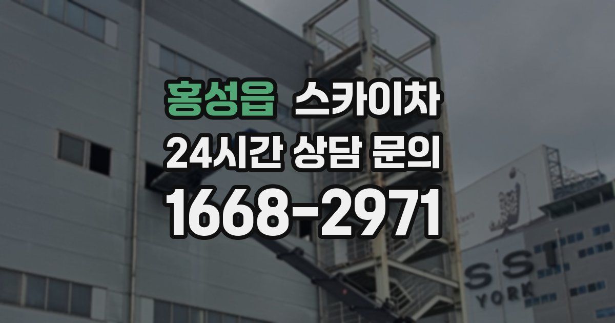 홍성읍 스카이차