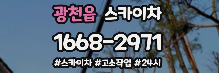 광천읍 스카이차