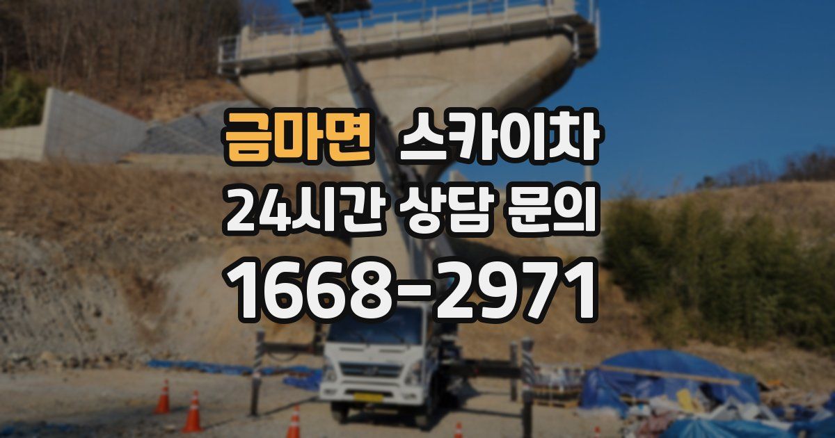금마면 스카이차