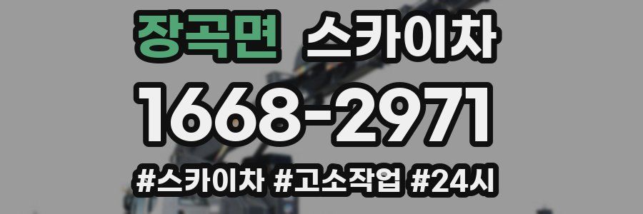 장곡면 스카이차