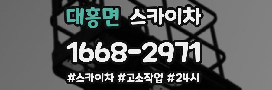 대흥면 스카이차